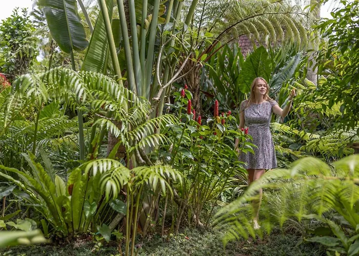 Villa The Spirit Ubud (Bali)